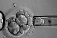 60s告诉你2026甘肃彩礼多少，最高的三个地方原来是…