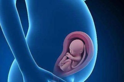 血铅含量达到多少μmol／L会影响生育？